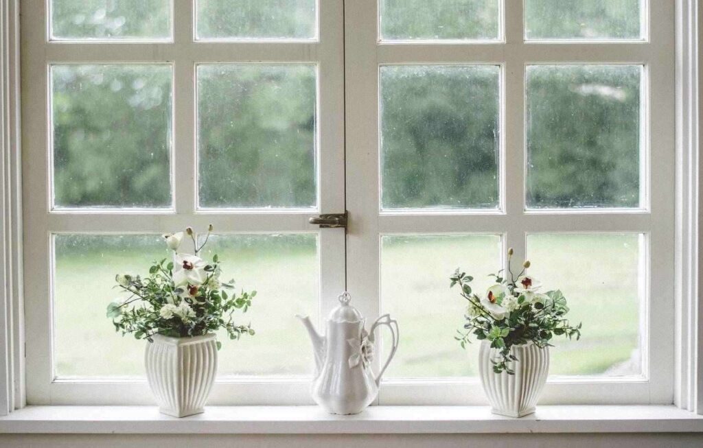 Windows with plants
