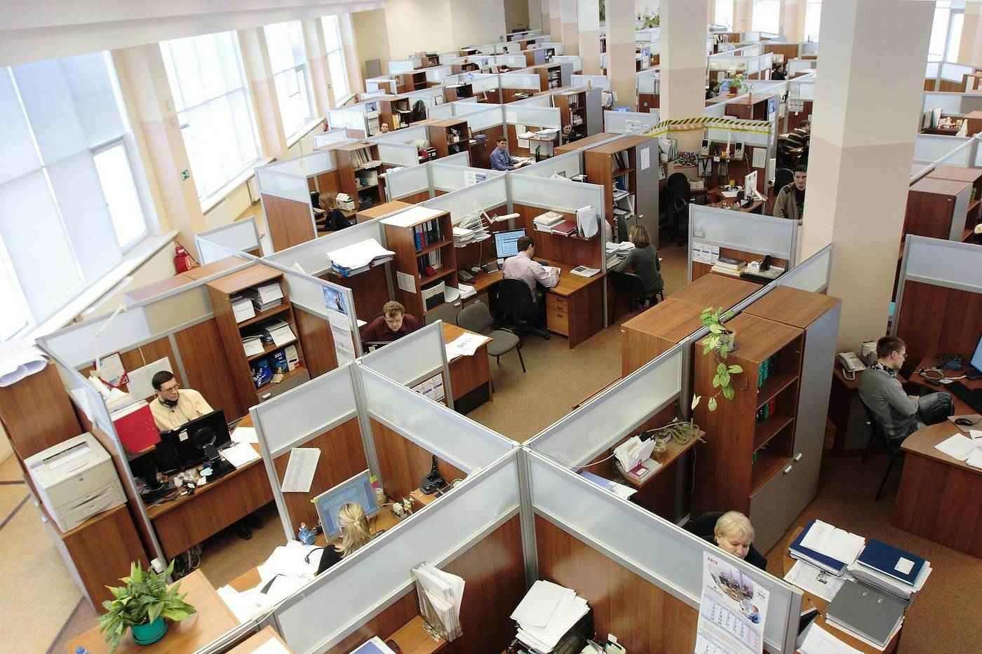 Bunch of office cubicles