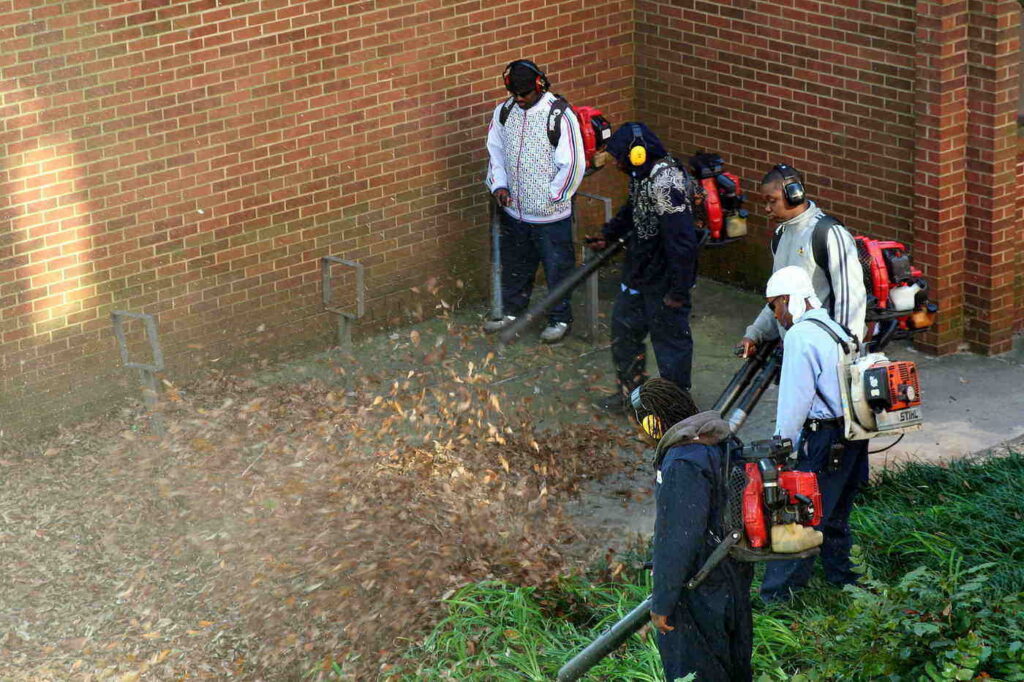Group of five men using leaf blowers